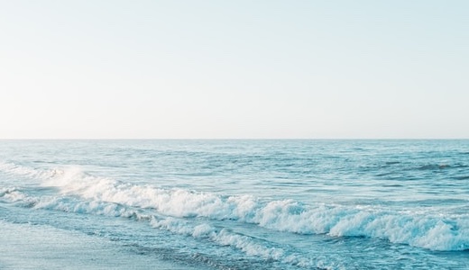 第７期柏崎リーダ－塾運営（ＰＲを含む）業務委託に係るプロポーザル選定結果の公表